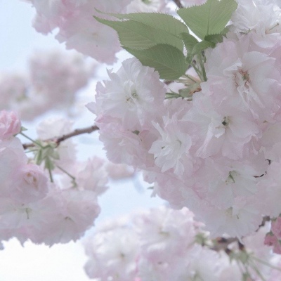 Furry绘画原创灵感兽圈群